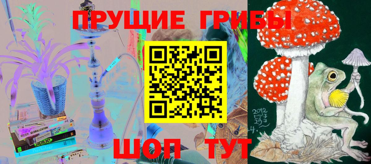 Галлюциногенные грибы Psilocybine cubensis  Вход с VPN  Галлюциногенные грибы мицелий  Нижневартовск 