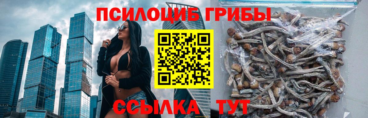 Псилоцибиновые грибы Magic Shrooms Нижневартовск